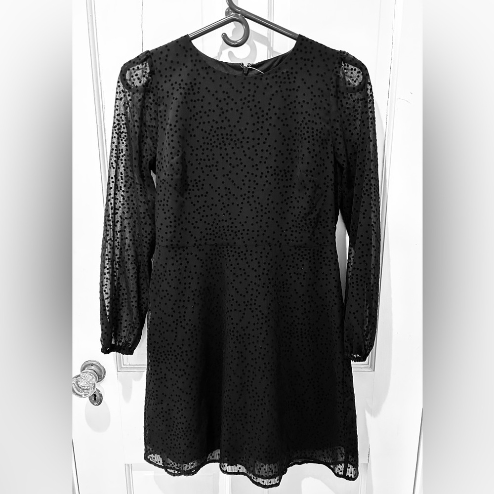 New Loft Cocktail Dress, sheer overlay, velour dots